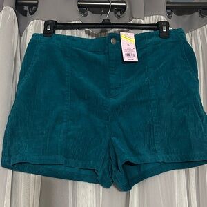 Wild Fable High Waist Teal Corduroy Shorts